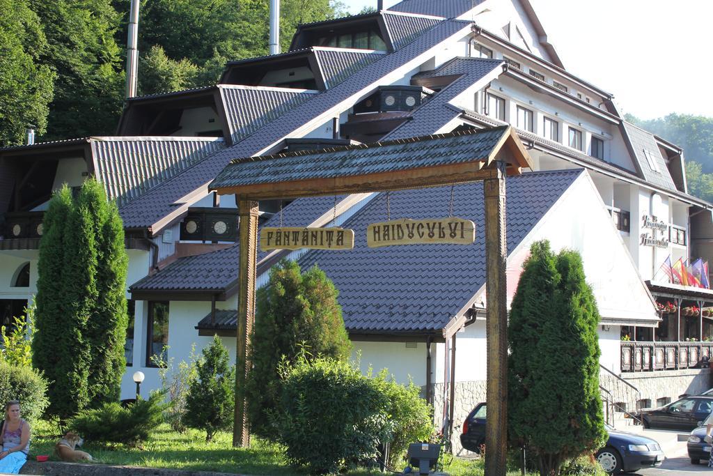 Hotel Fantanita Haiducului Bradu  ภายนอก รูปภาพ